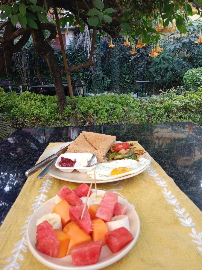 Hotel Lotus Garden 카트만두 외부 사진