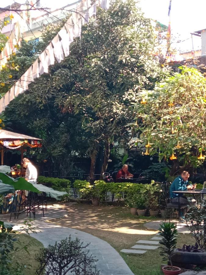 Hotel Lotus Garden 카트만두 외부 사진